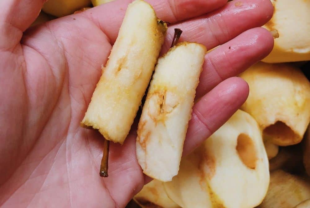 the core of an apple in the palm of your hand