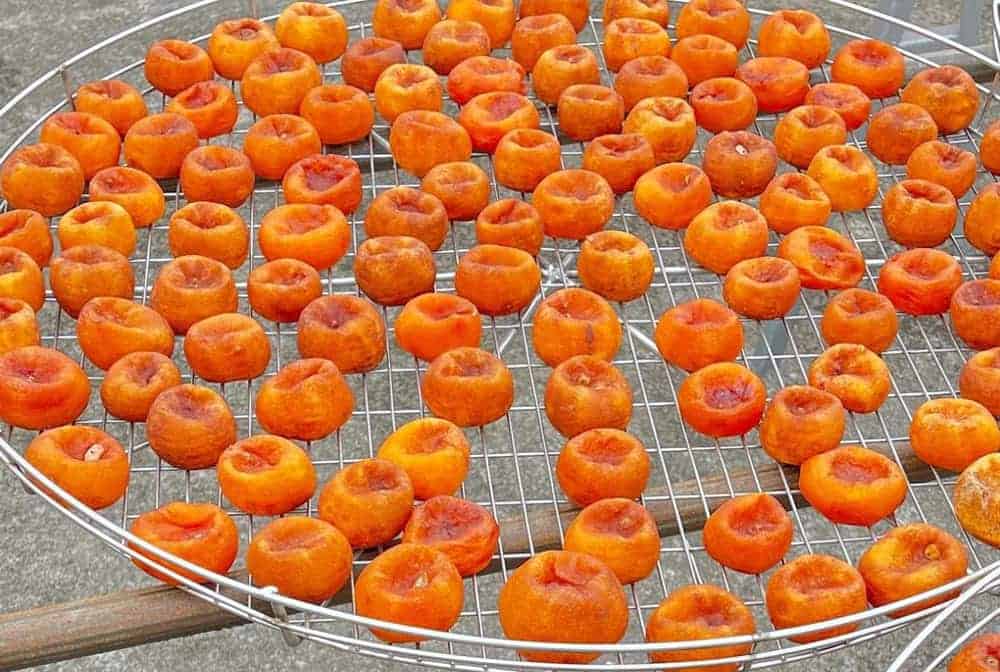 dried persimmon