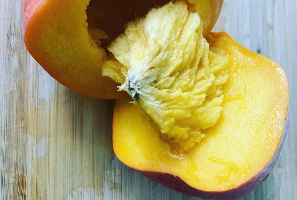 parts of the mango