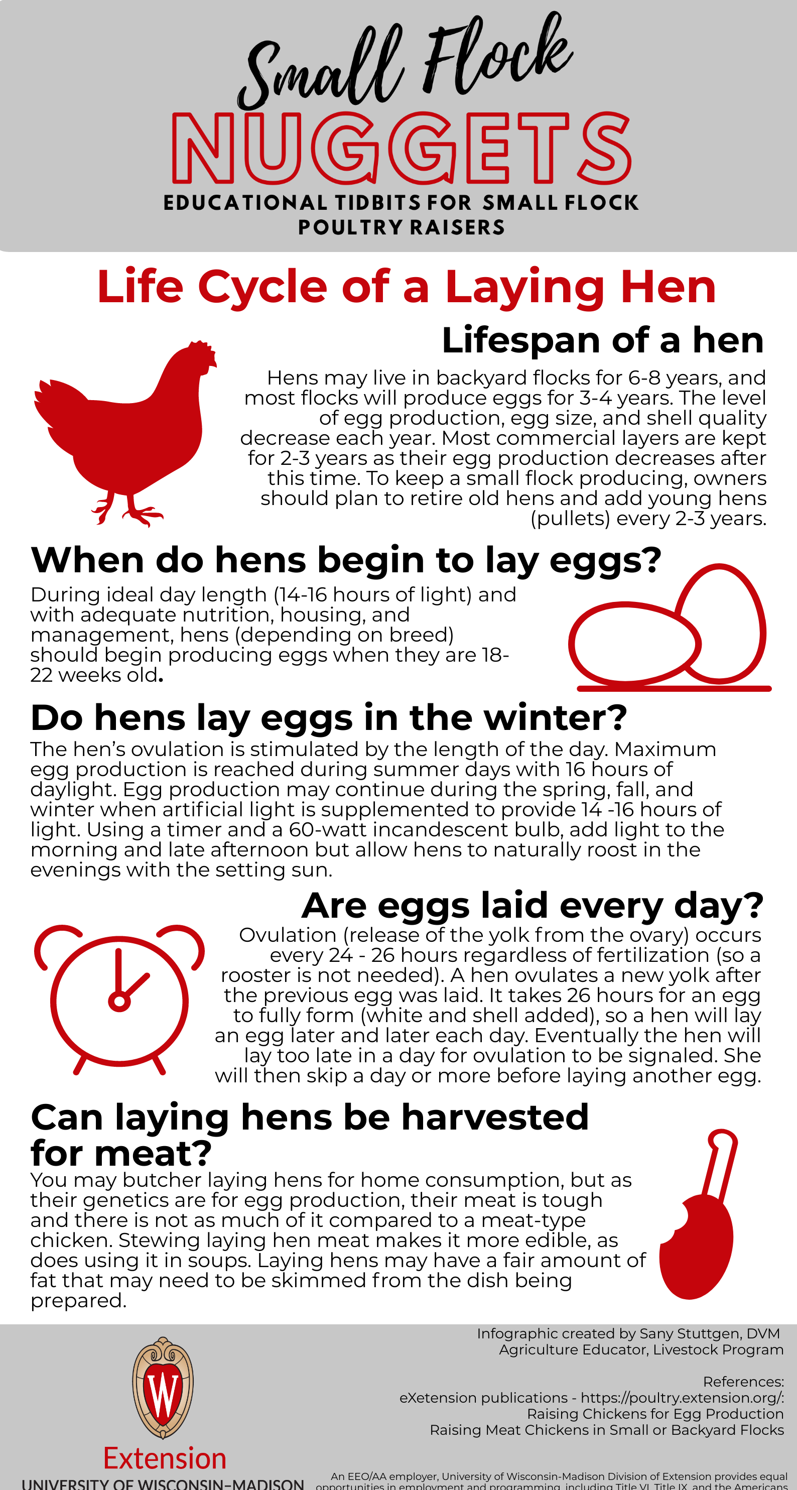 Age Of Hens And How Many Years They Lay Eggs