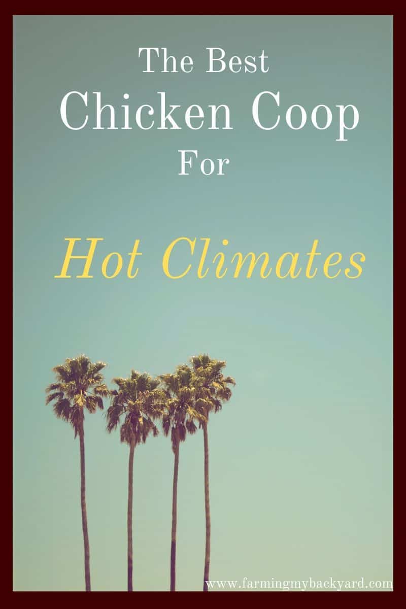 Basics Of Hot Weather Chicken Coops