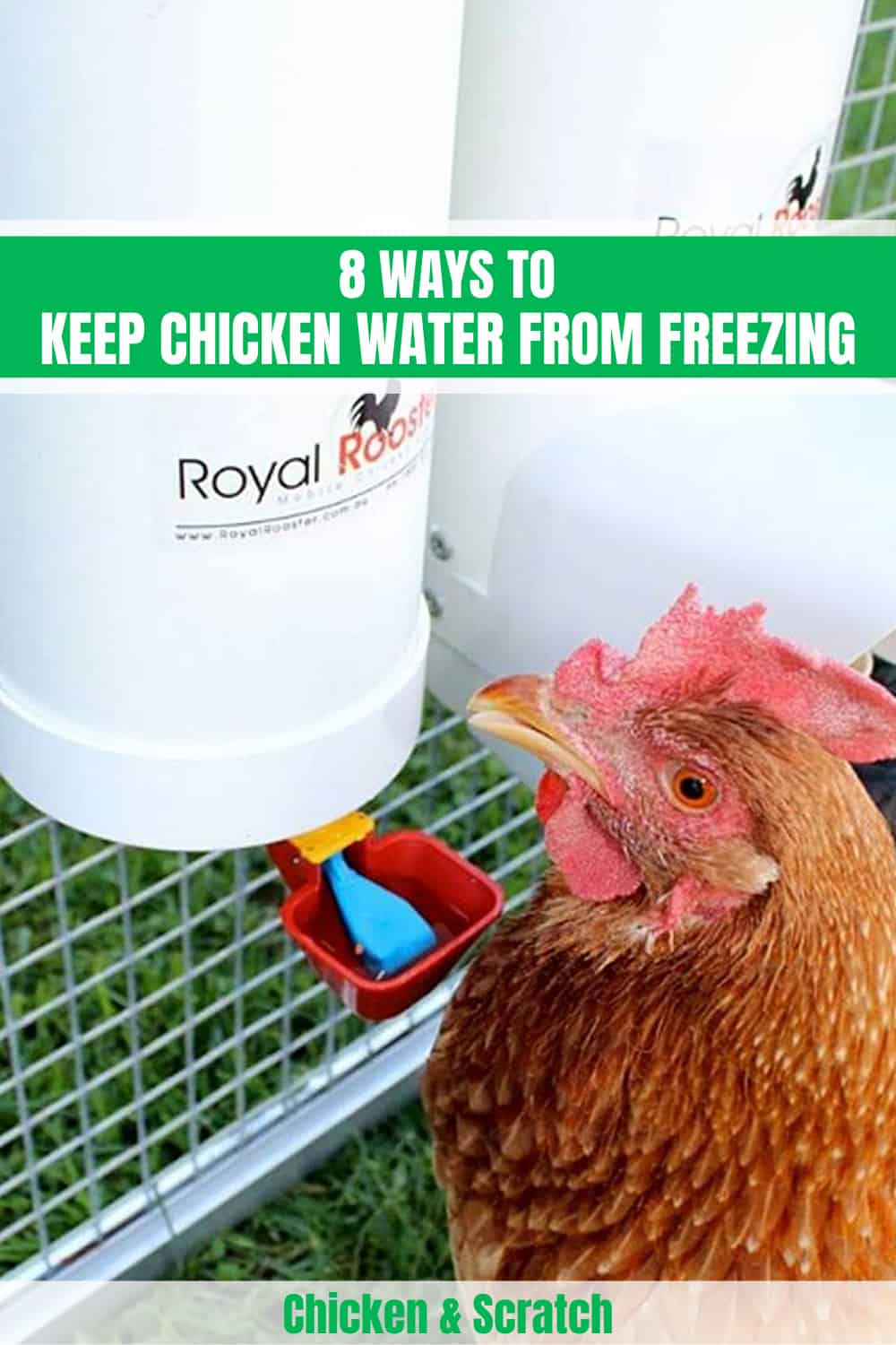 Benefits Of A Chicken Coop Water Heater