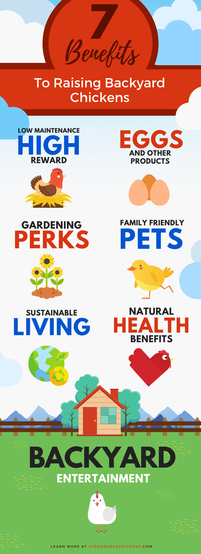 Benefits Of Chicken Husbandry