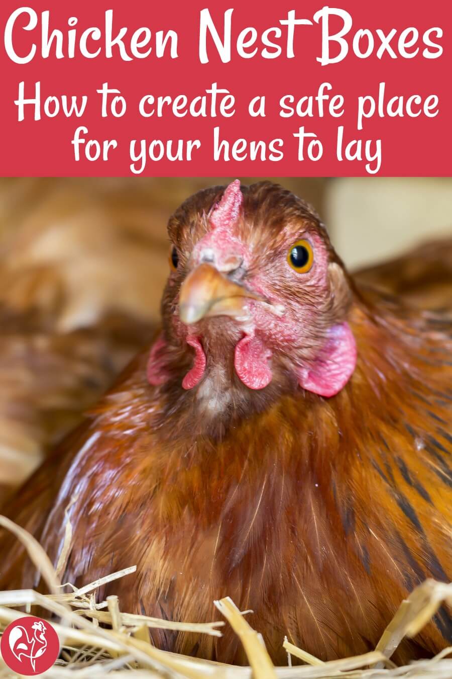 Benefits Of Chicken Nesting Boxes