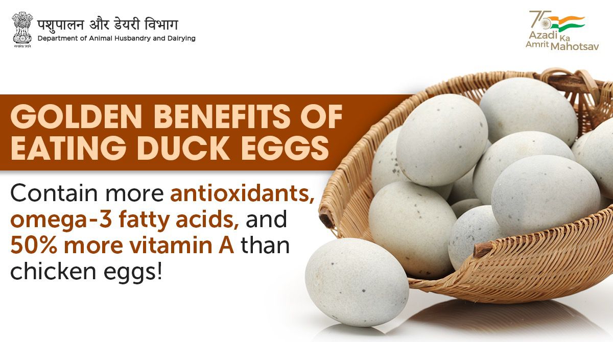 Benefits Of Eggs