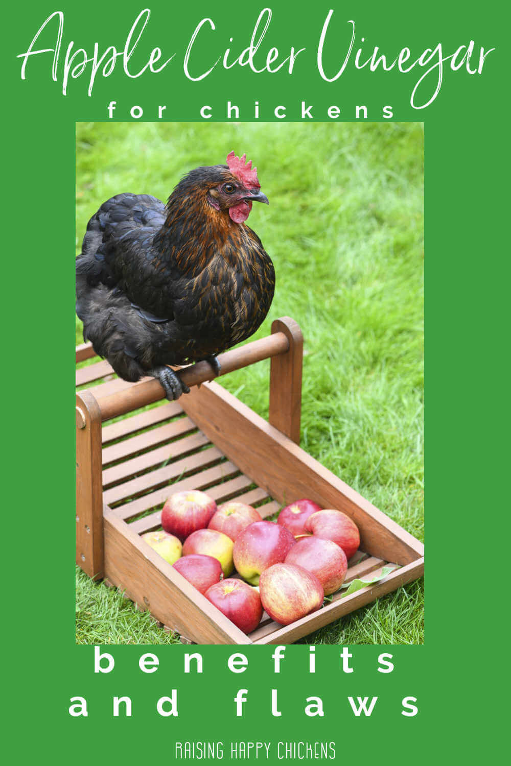 Benefits Of Feeding Apples To Chickens