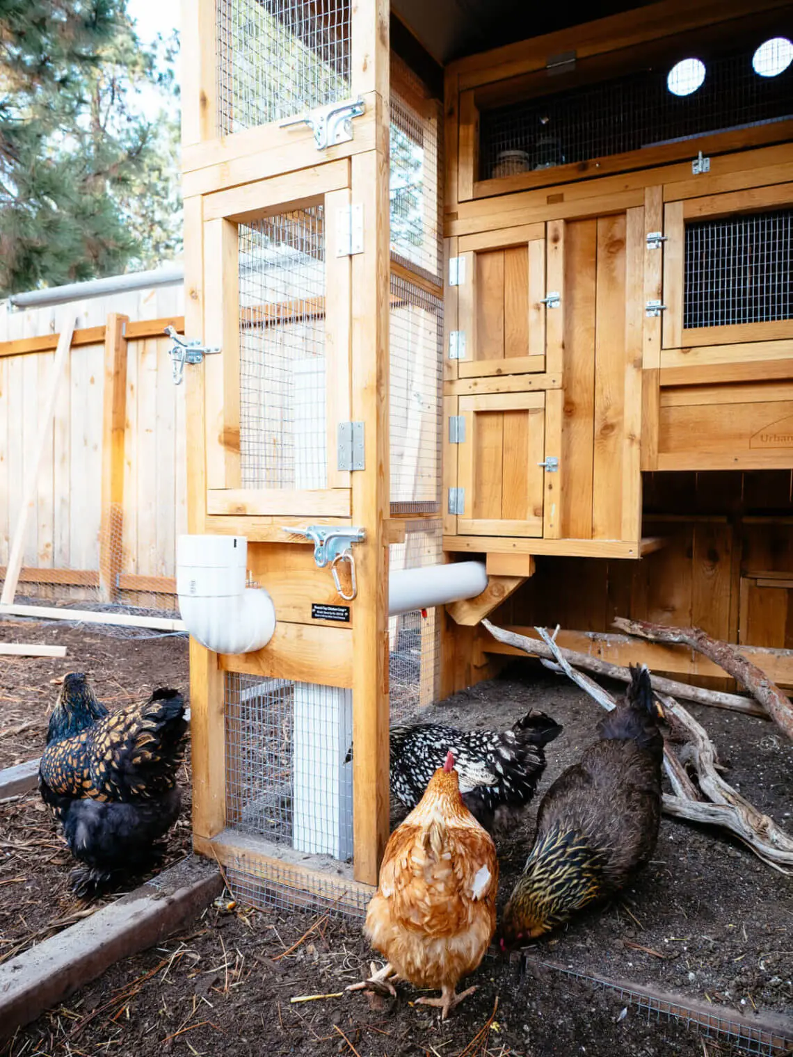 Benefits Of Installing A Lock On Your Chicken Coop