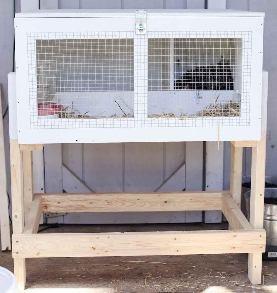 Building A Brooder Box