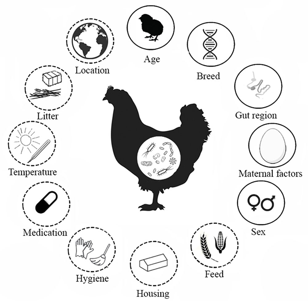 Environmental Factors