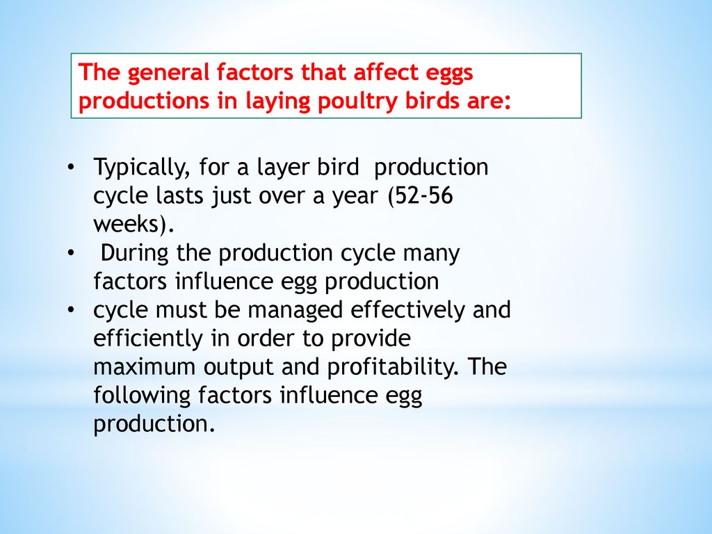 Factors Affecting Egg Production