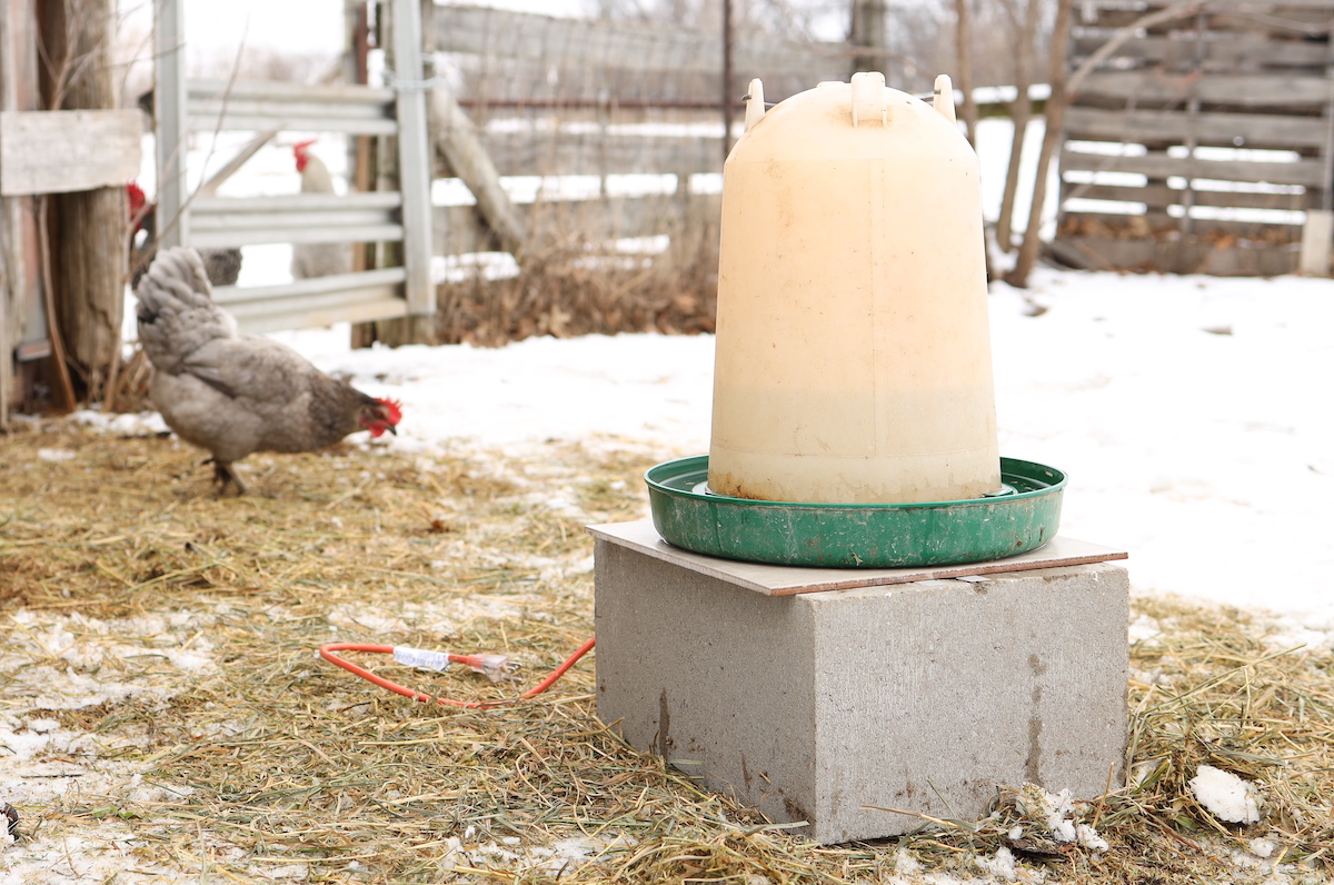 How To Install A Chicken Coop Waterer