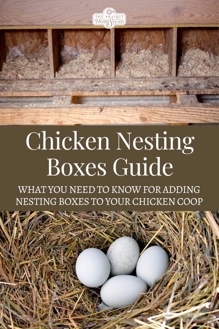 How To Make A Nest Box For Chickens