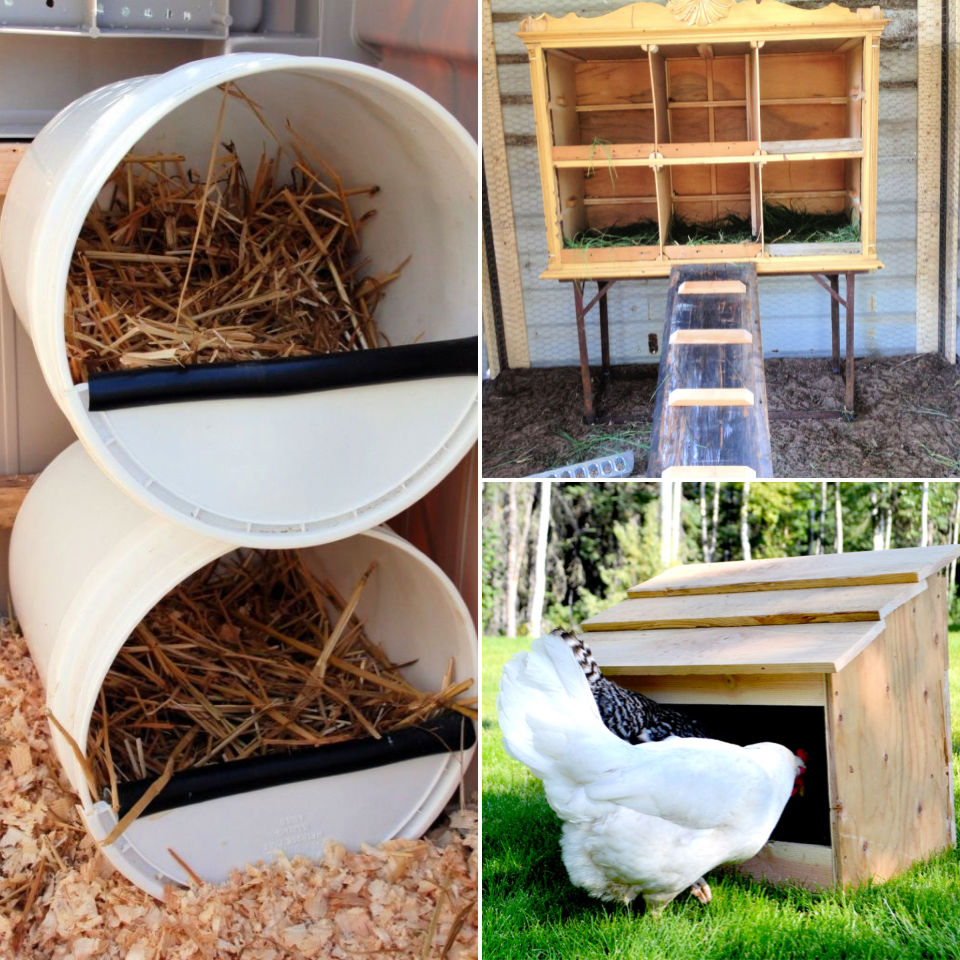 How To Make Chicken Laying Boxes