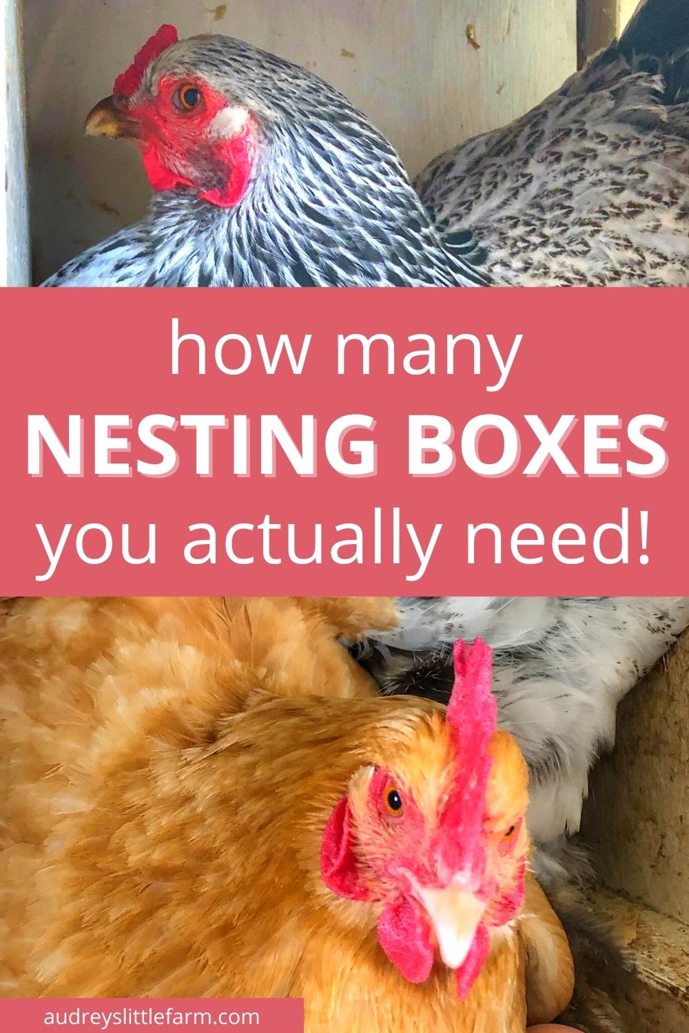 Number Of Nesting Boxes