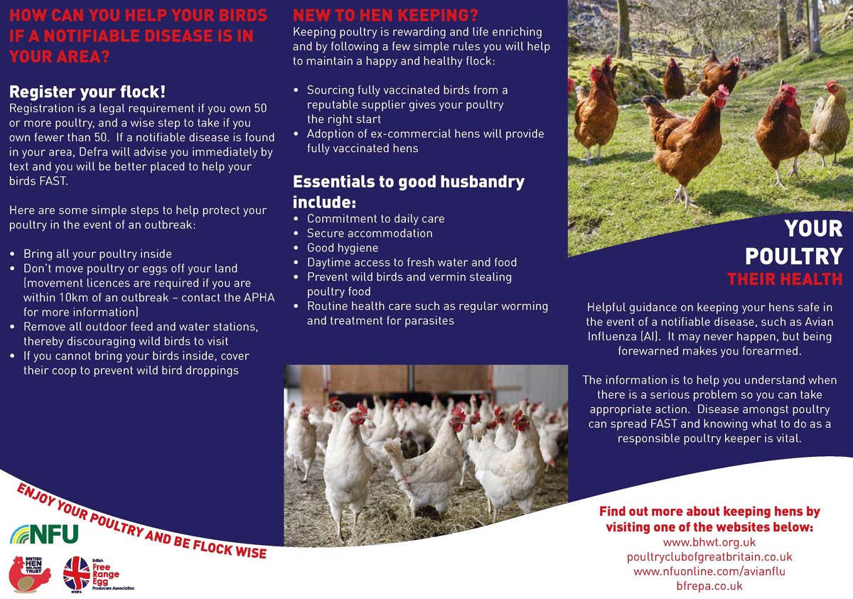 Nutritional Requirements For Chickens