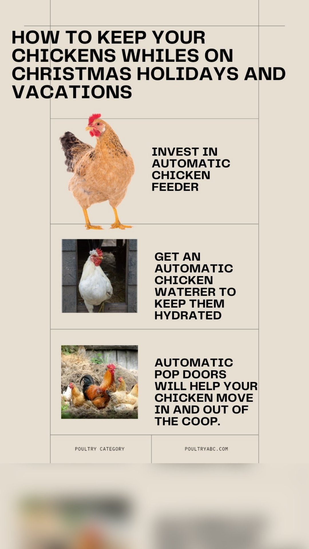 Tips For Keeping Your Chickens Hydrated