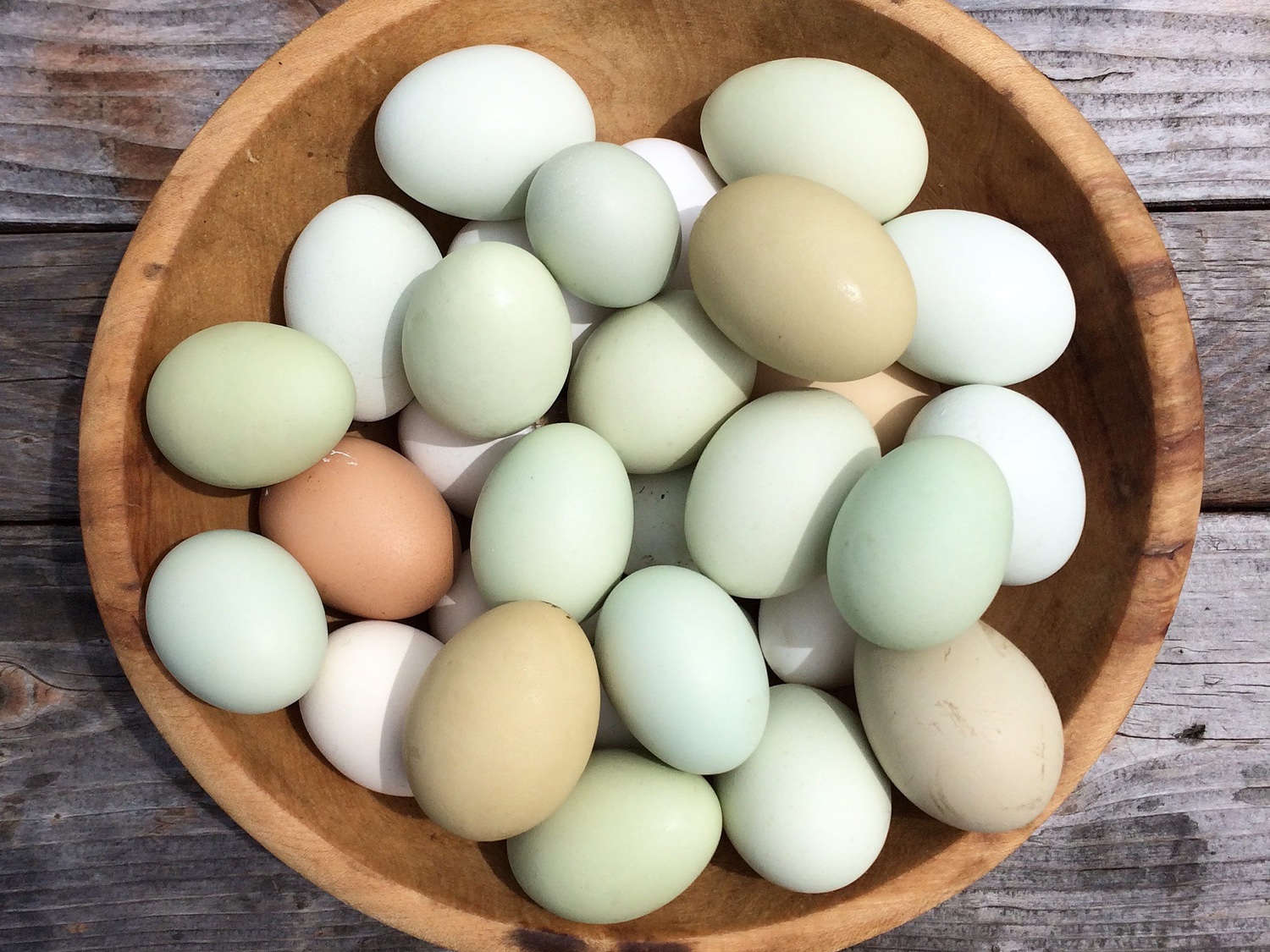 Types Of Chicken Eggs