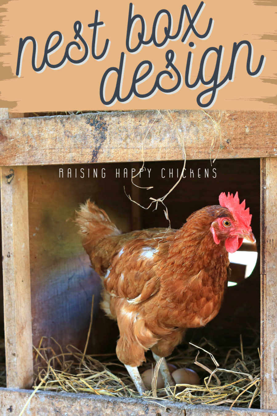 Types Of Chicken Nesting Boxes