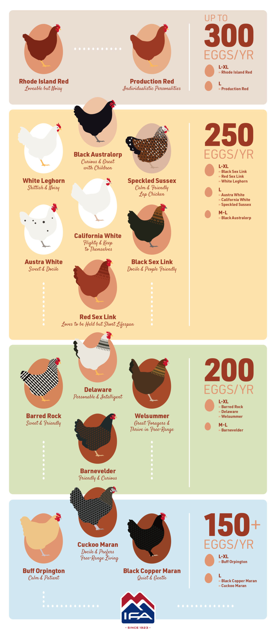 Types Of Chickens That Lay Eggs