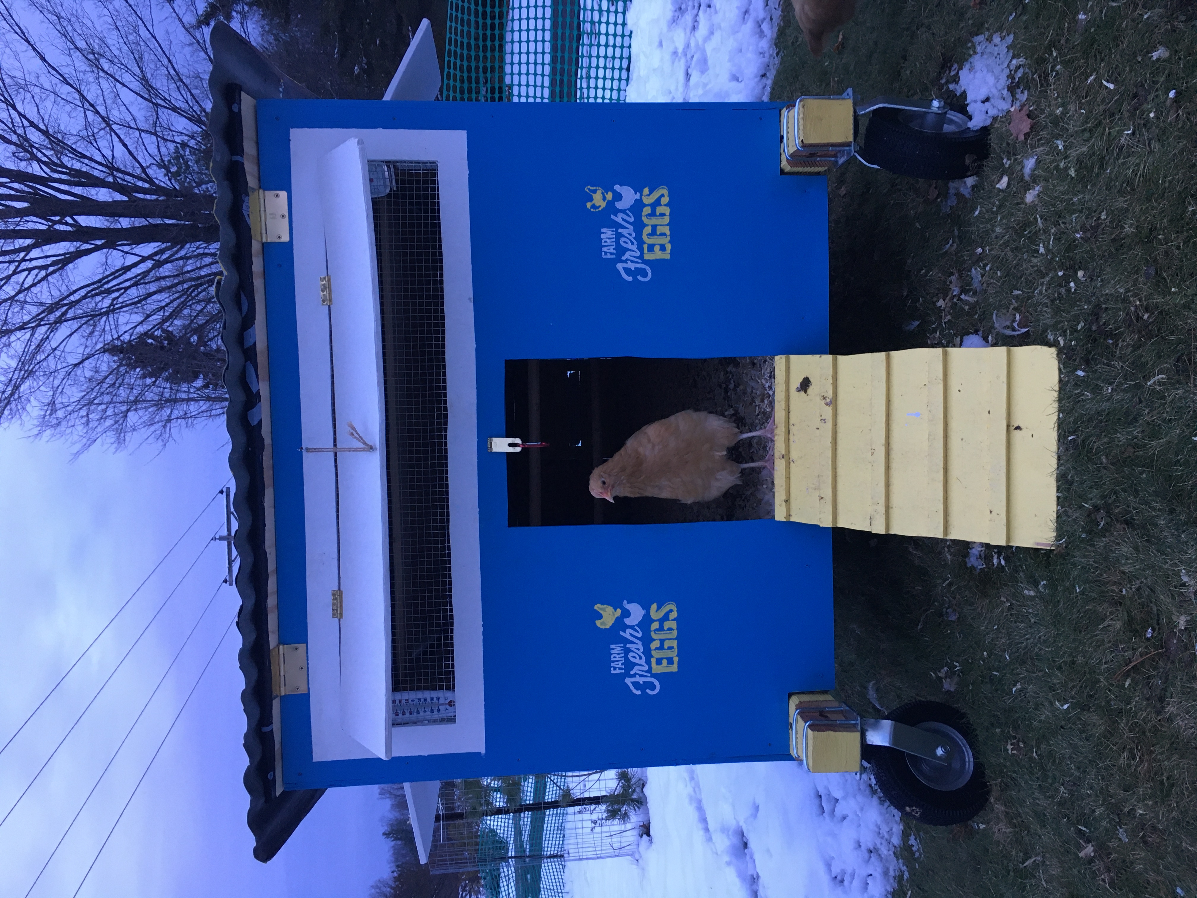 Ventilation In A Cold Weather Chicken Coop