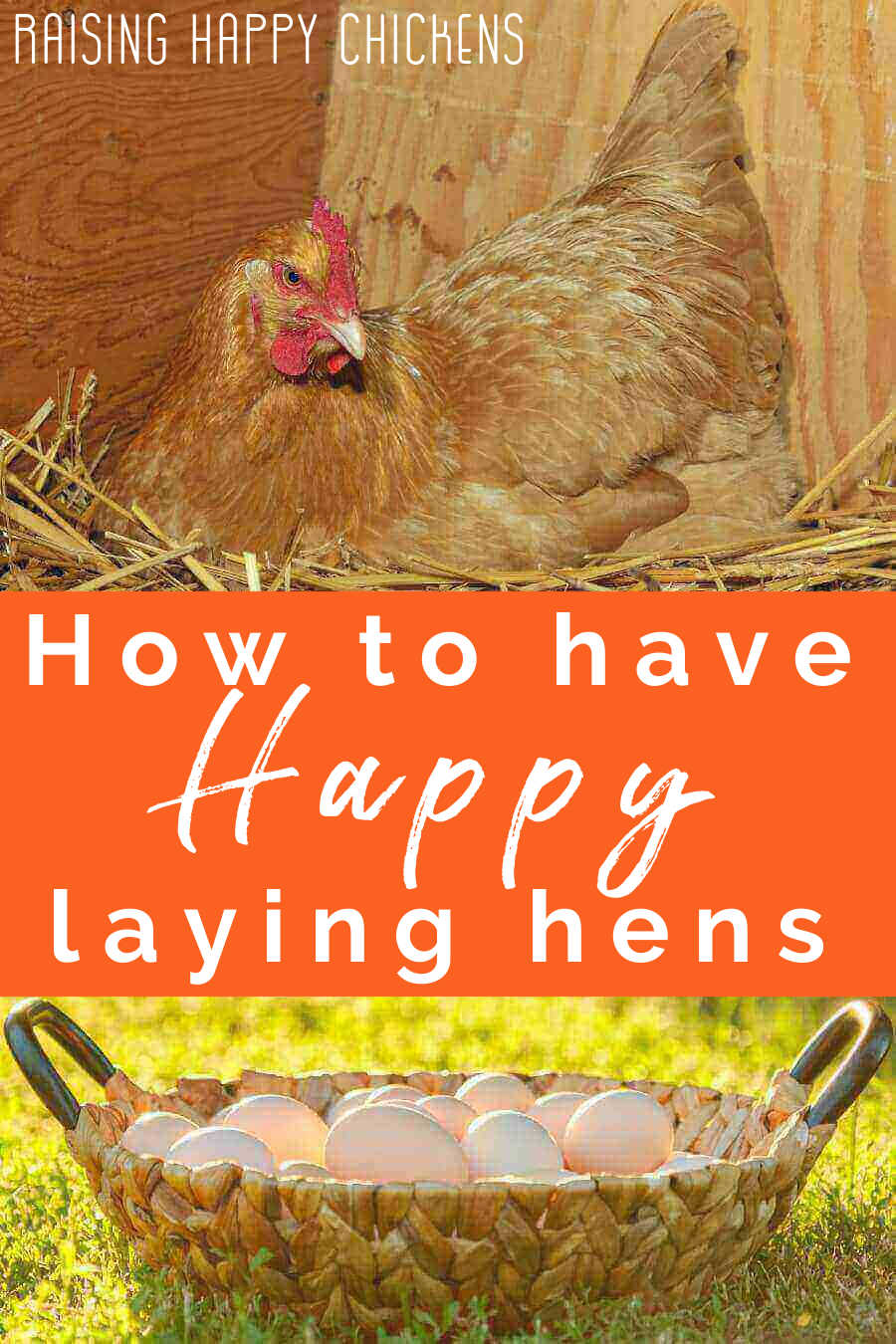 What Are The Benefits Of Hens Laying Eggs?