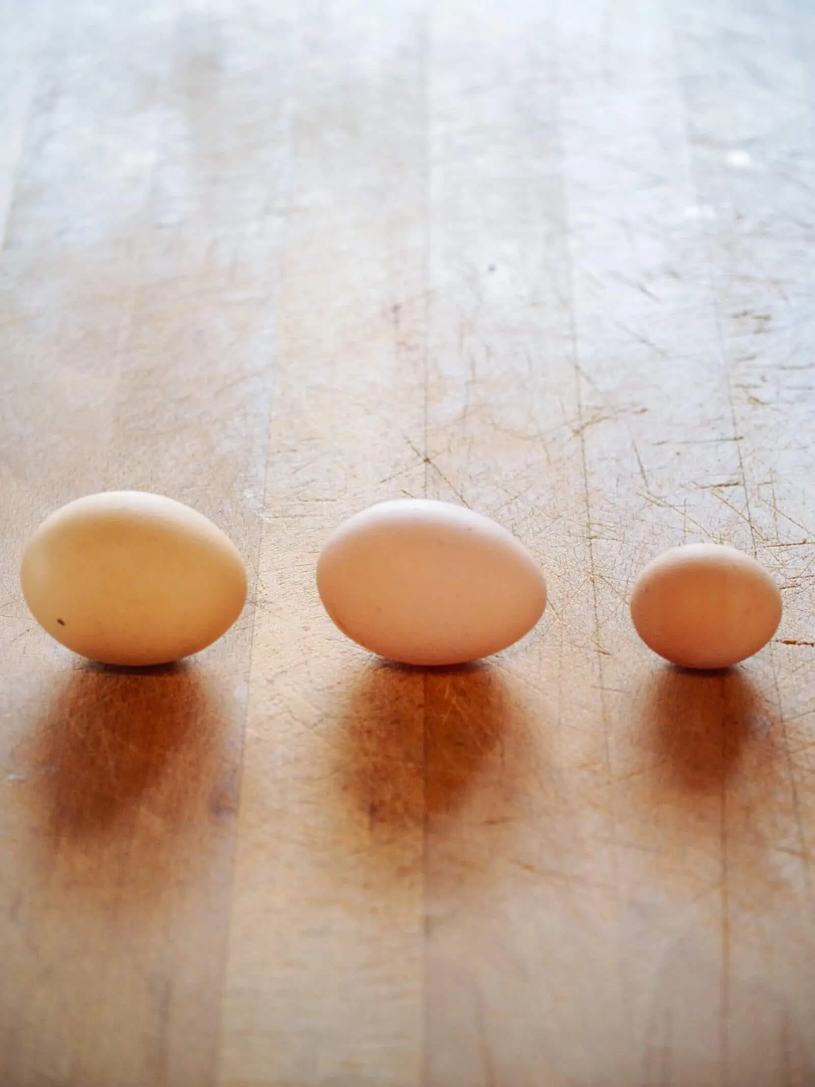 What Do Tiny Chicken Eggs Look Like?