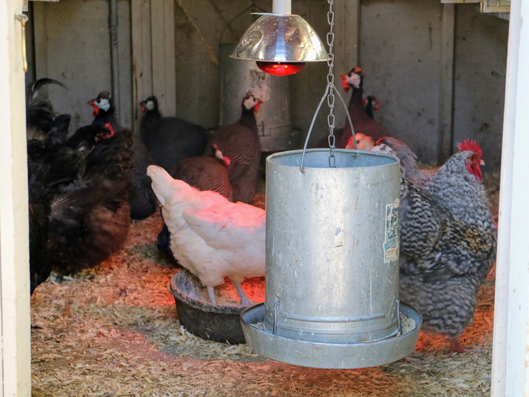 What Is A Heat Lamp?