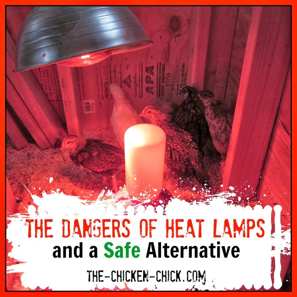 What Risks Are Associated With Heat Lamps?