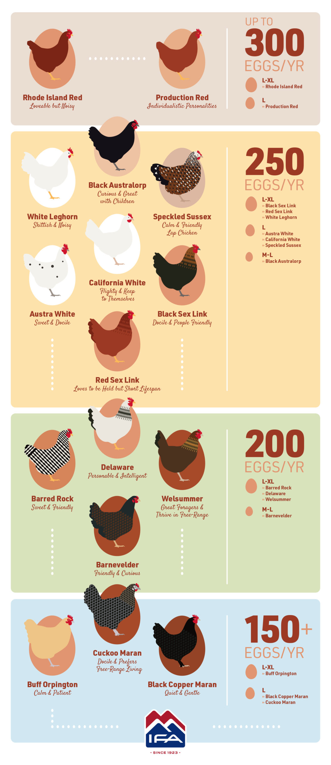 What Types Of Chickens Lay Eggs?