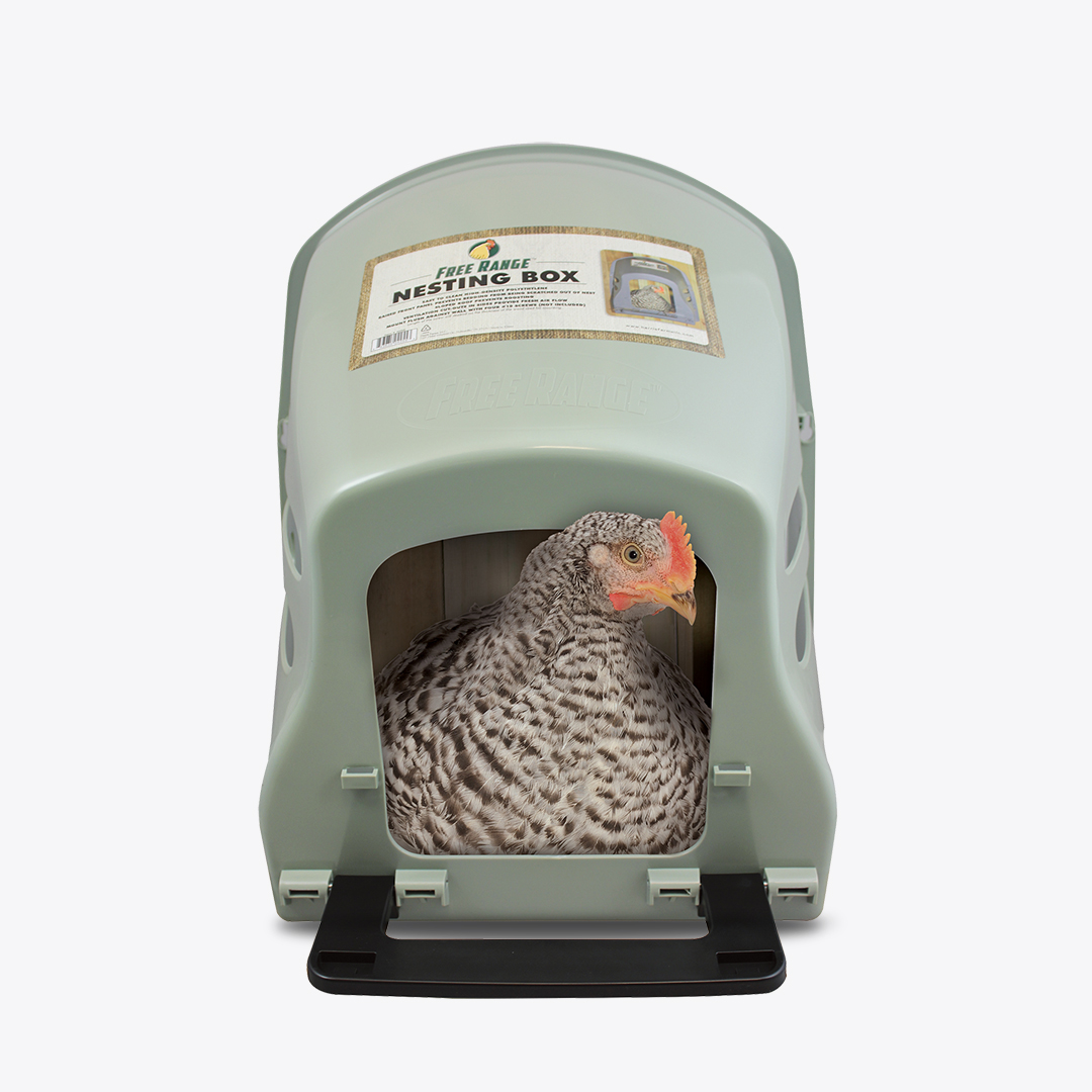 Where To Find Chicken Nesting Boxes For Sale